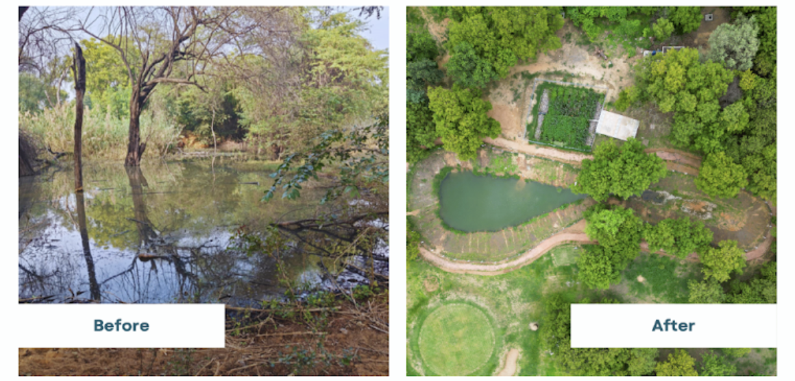 Brookfield Pond Rejuvenation